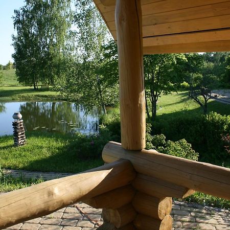 Dikisi Villa Daugavpils Bagian luar foto