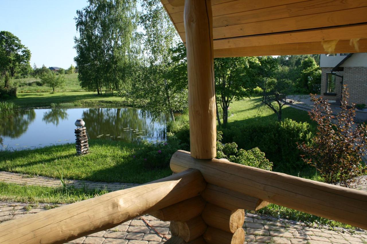 Dikisi Villa Daugavpils Bagian luar foto