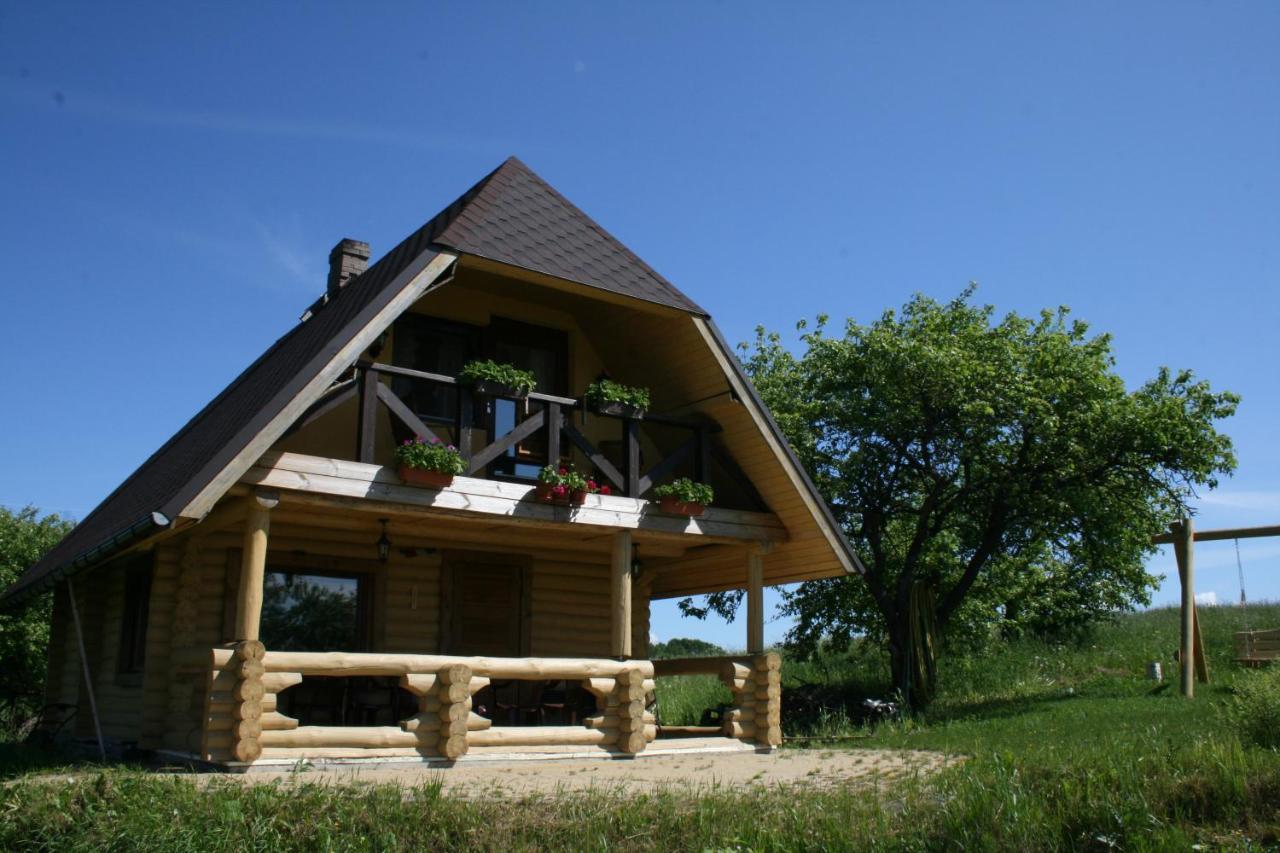 Dikisi Villa Daugavpils Bagian luar foto