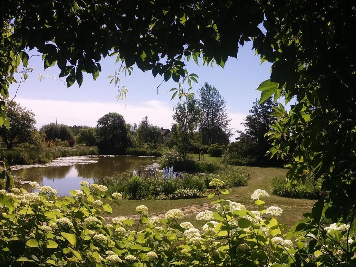 Dikisi Villa Daugavpils Bagian luar foto