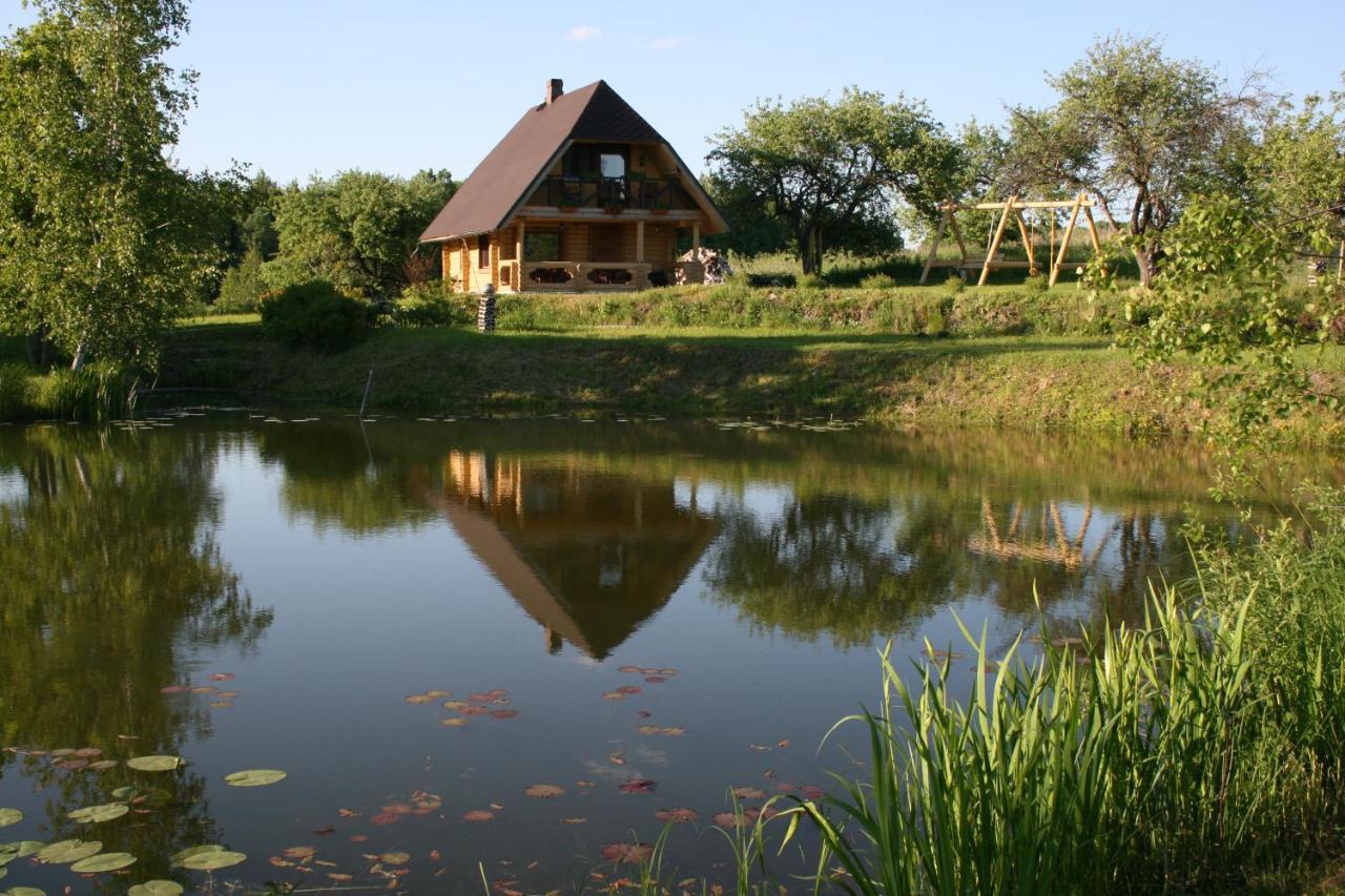 Dikisi Villa Daugavpils Bagian luar foto