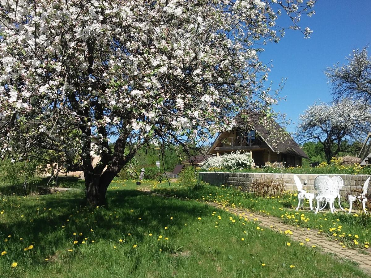 Dikisi Villa Daugavpils Bagian luar foto