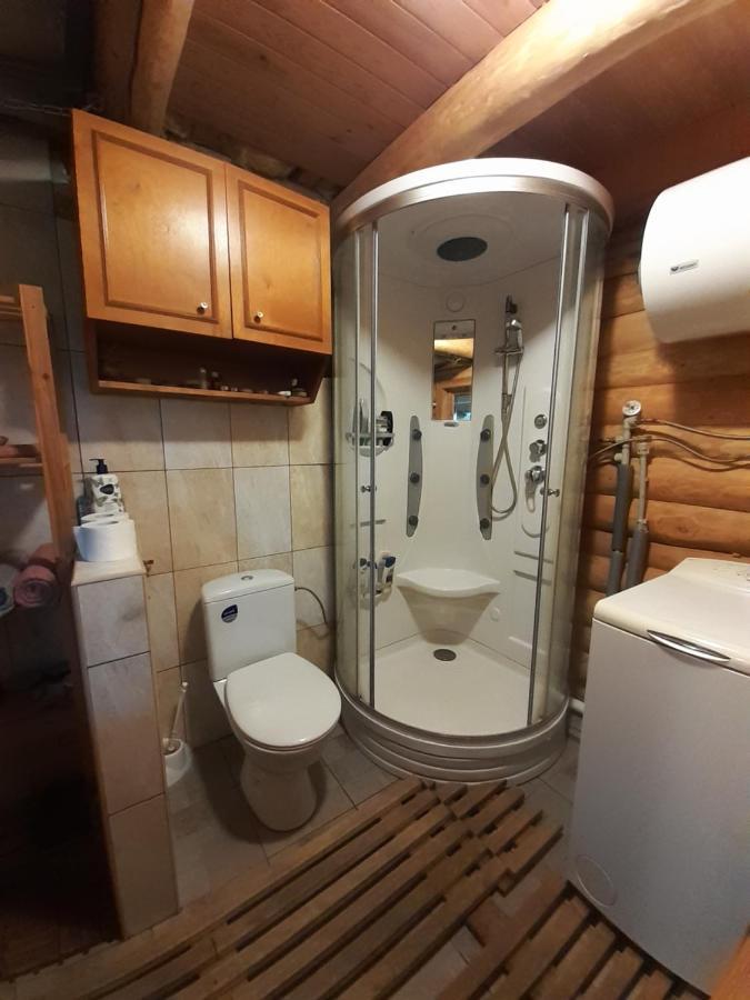 Dikisi Villa Daugavpils Bagian luar foto